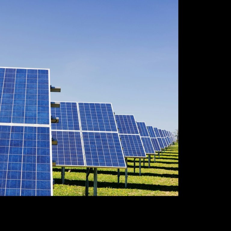 Solaranlagen auf einem Feld mit blauen Panels unter klarem Himmel.